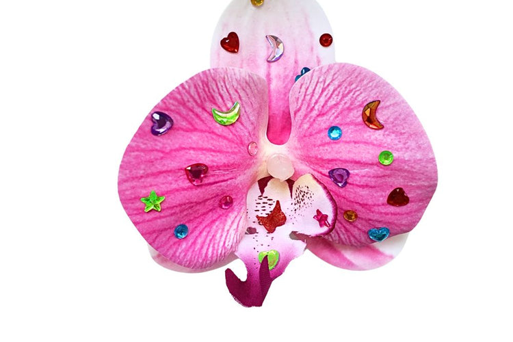 Step 3: Complete Your Orbit